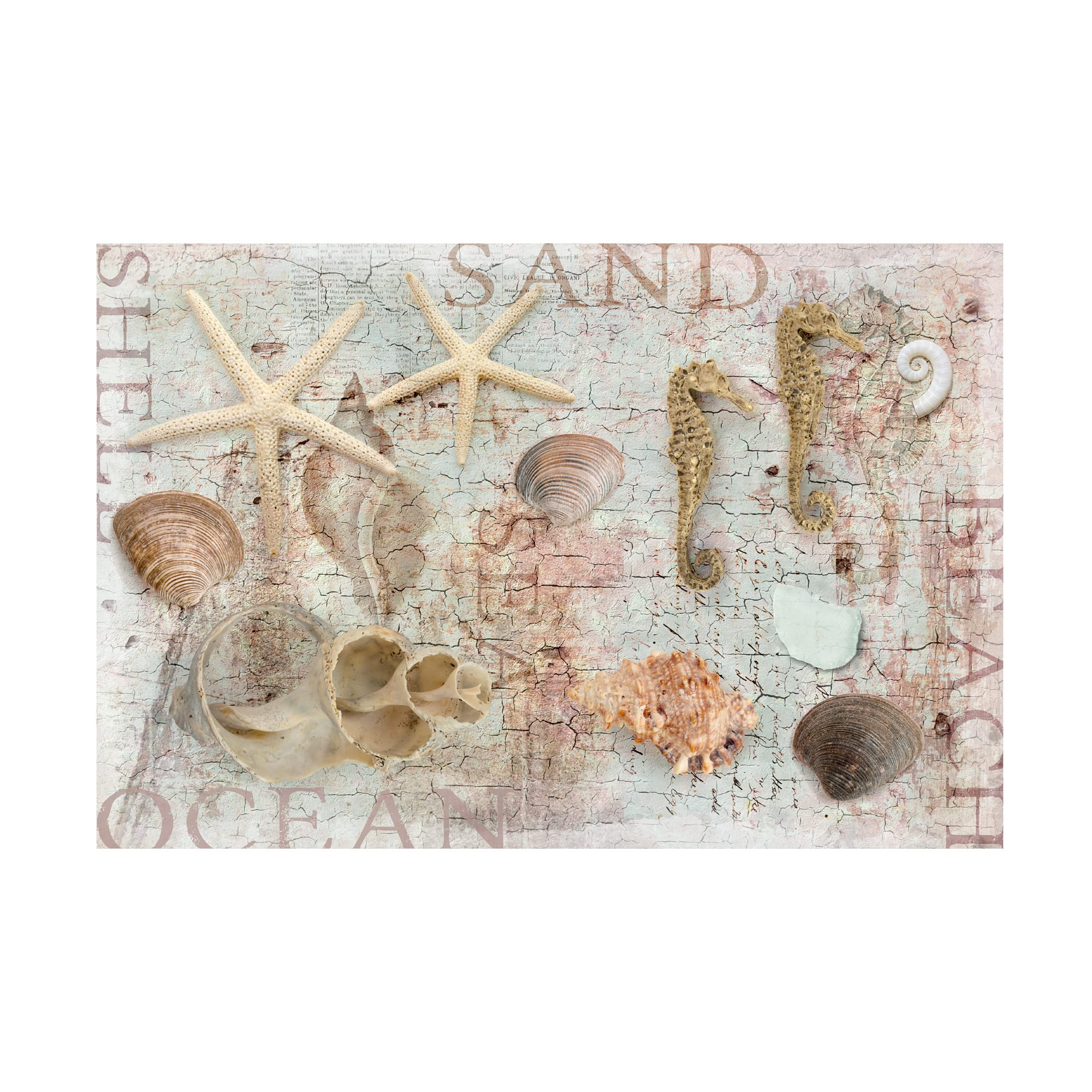 Trademark Fine Art 'Beach Finds' Canvas Wall Art by Cora Niele - Coastal Home Decor for Living Room, Bedroom & Office
