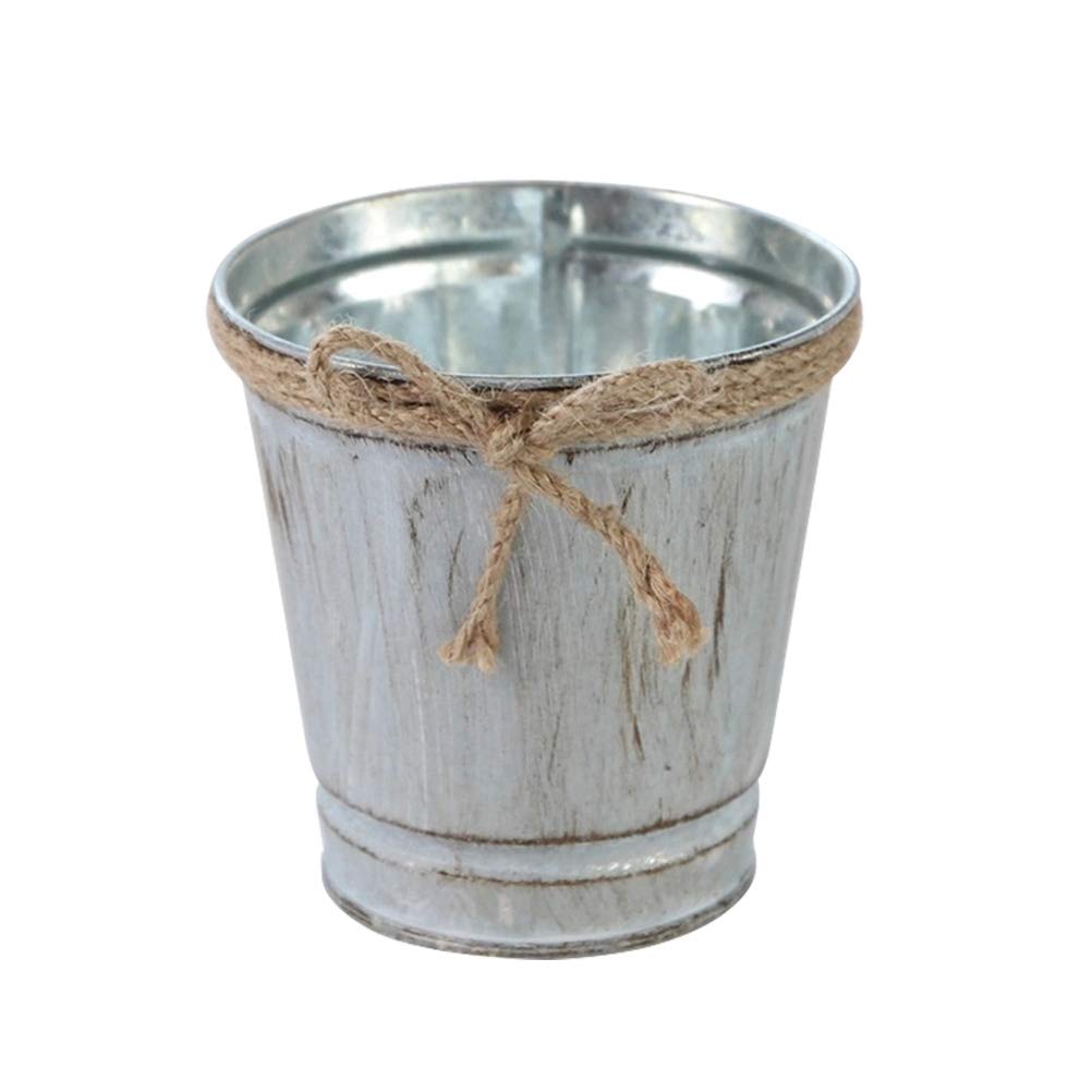 Vintage Iron Pot Planters - Mini Metal Flower Pots for Indoor Plants, Decorative Picket Fence Planter Vase - Perfect for Home, Office, and Garden Decor