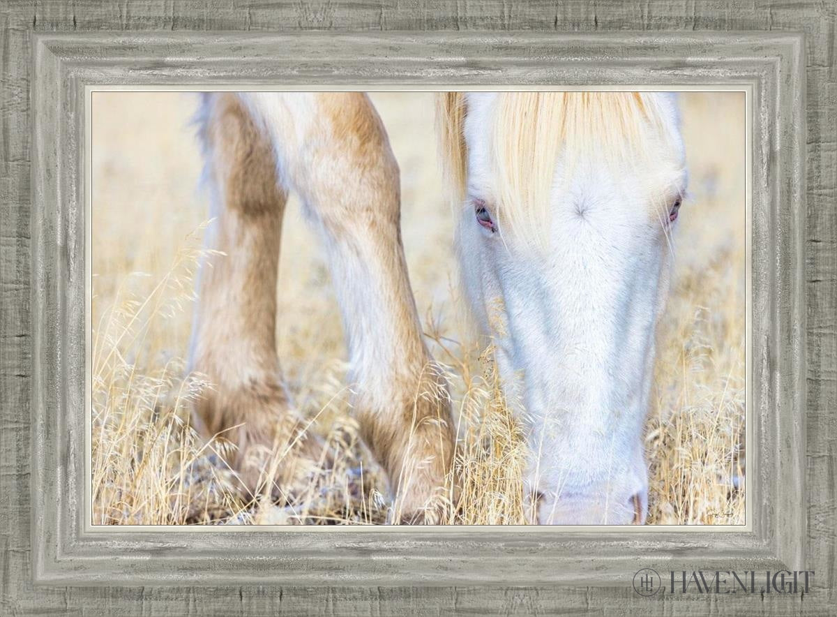 Dry Grass by Greg Sargent - Premium Handcrafted Home Decor for Rustic & Farmhouse Style - Perfect for Wall Art, Shelf Displays & Cozy Living Room Decor