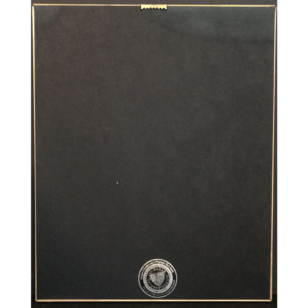 Chris Cagle Play It Loud RIAA Gold Album Award - Certified Collectible Music Memorabilia for Country Fans & Display in Home, Office, or Man Cave