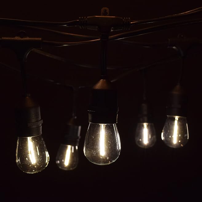 S14 LED Filament 1 Watt Bulbs