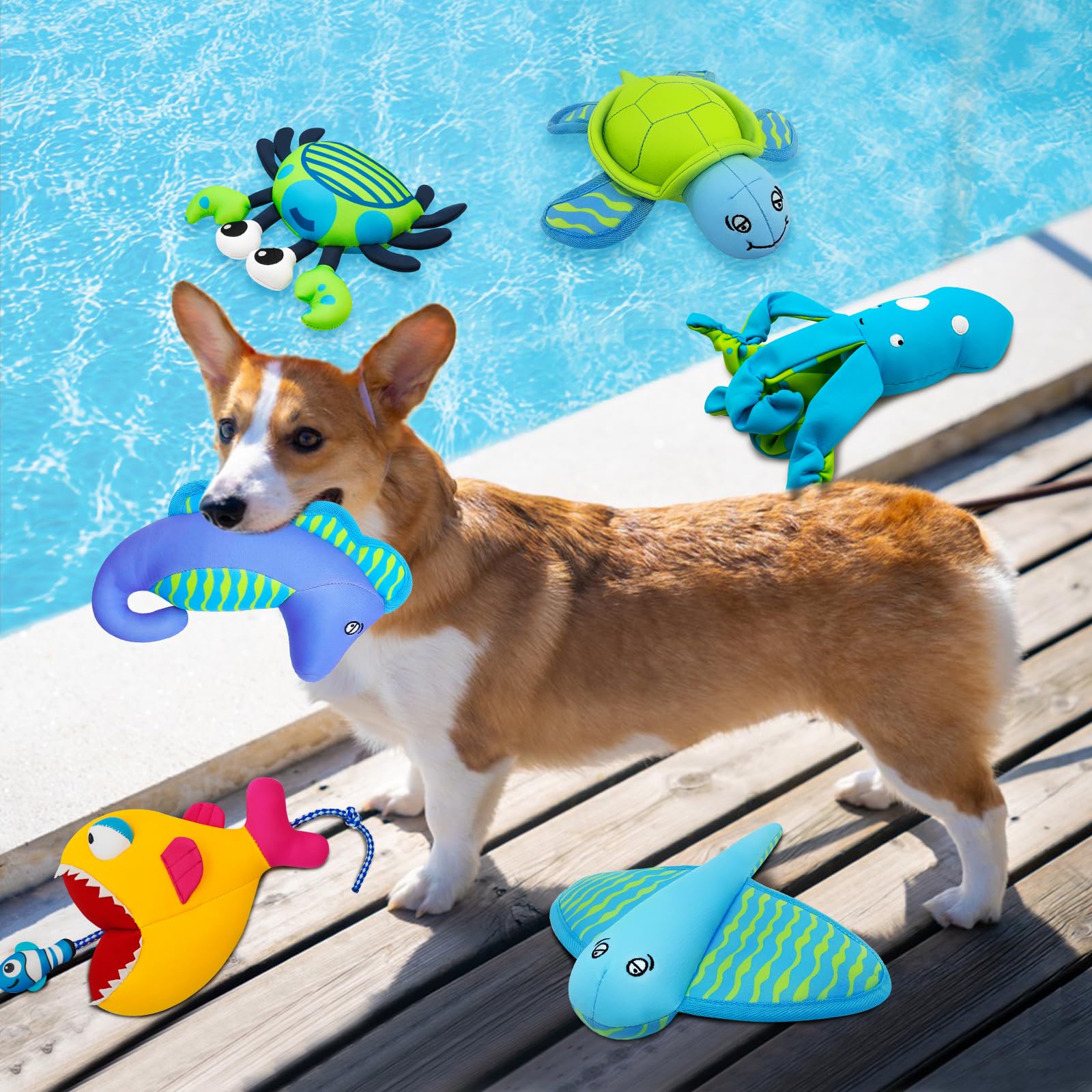 Floating Dog Pool Toys - Squeaky Water Toys for Small & Medium Dogs, Interactive Outdoor Beach & Pool Play - Turtle Shape for Fun Swimming & Fetch Games