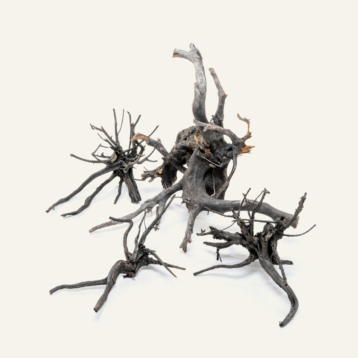 Black Forest Spider Wood Aquarium Driftwood - Natural Decorative Wood for Fish Tanks, Reptile Habitats & Terrarium Decor