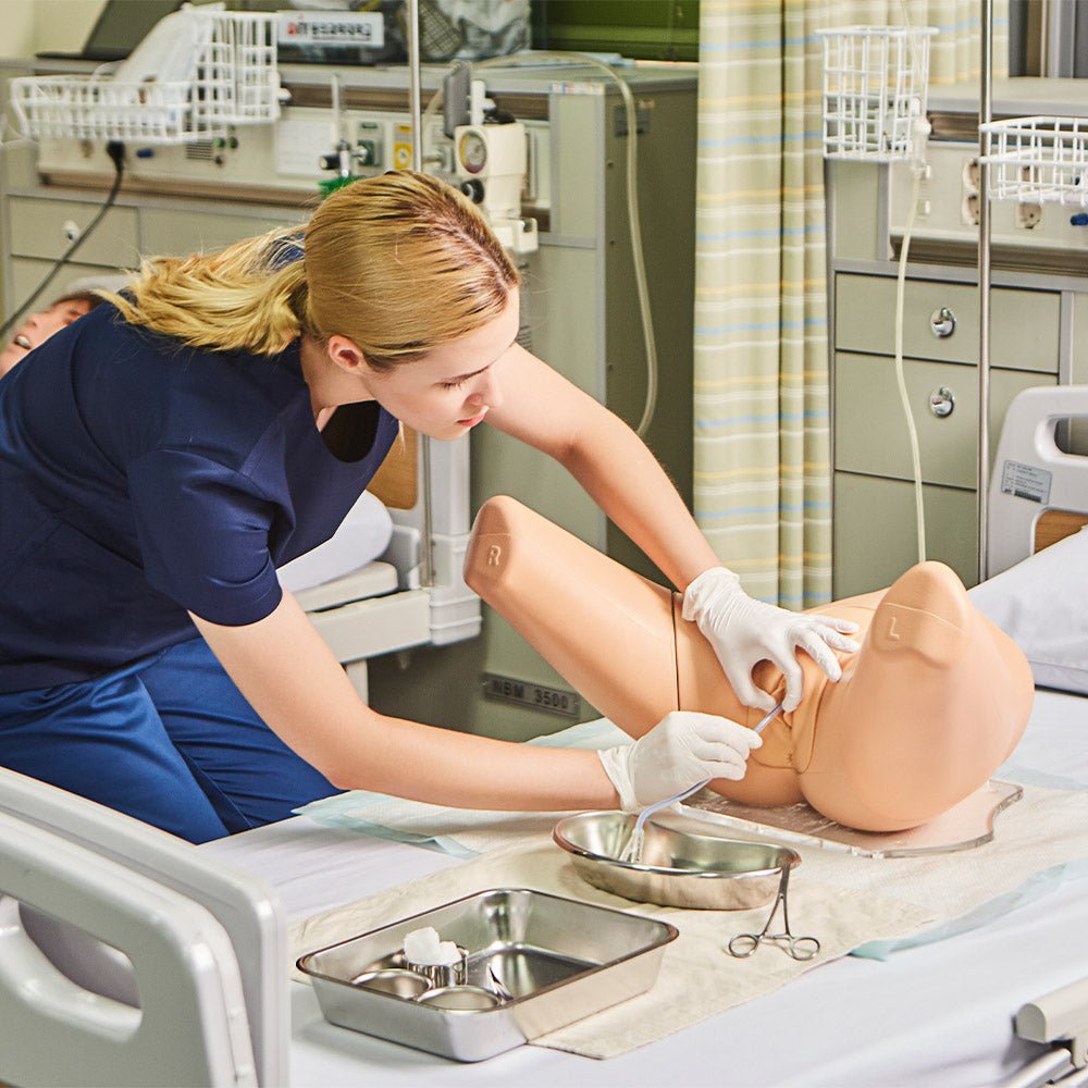 Female Catheterization Simulator - Medical Training Model for Nursing Students & Healthcare Professionals - Practice Urinary Catheter Insertion Techniques