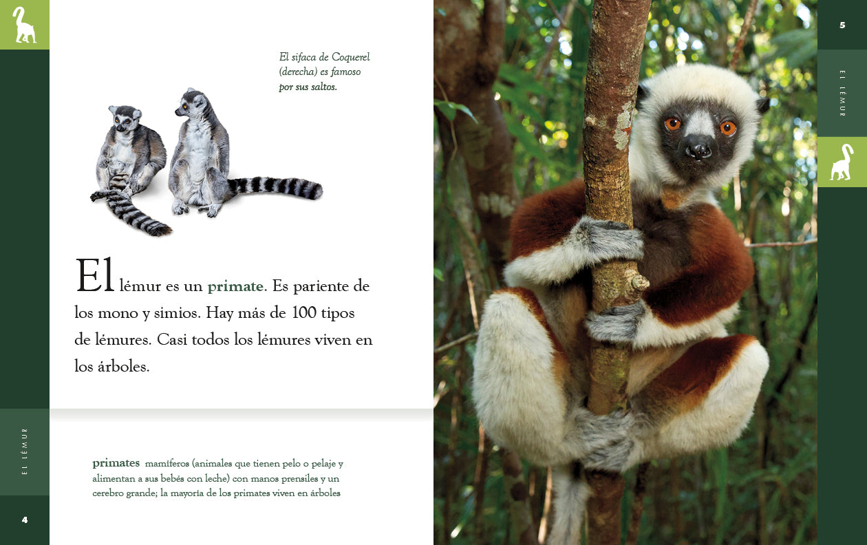 El Lemur Book 9781640265882 - Wildlife Education & Animal Facts for Kids, Perfect for Classroom Learning & Nature Enthusiasts