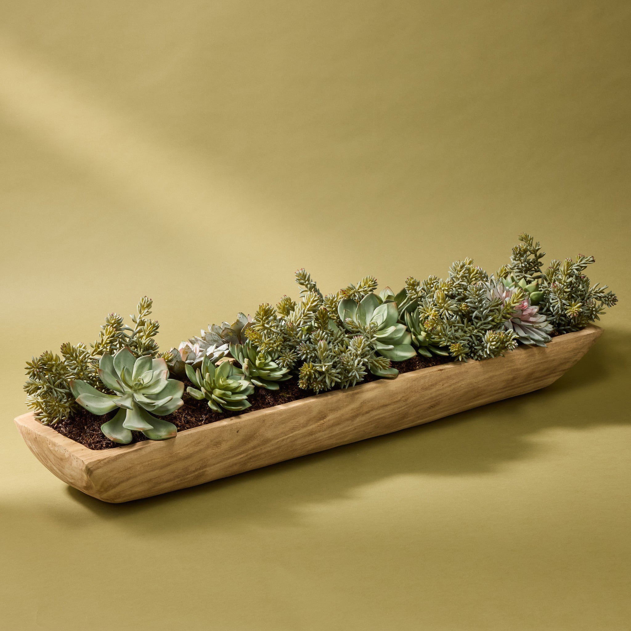 Artificial Echeveria Succulent Arrangement in Dansk Tray - Perfect for Home Decor, Office Desk, and Wedding Centerpieces