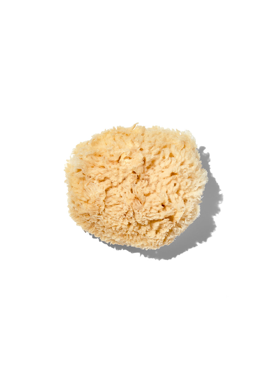 Natural Wool 3/4 Sea Sponge for Bath & Shower - Eco-Friendly, Exfoliating & Soft Skin Care - Perfect for Sensitive Skin & Eco-Conscious Consumers