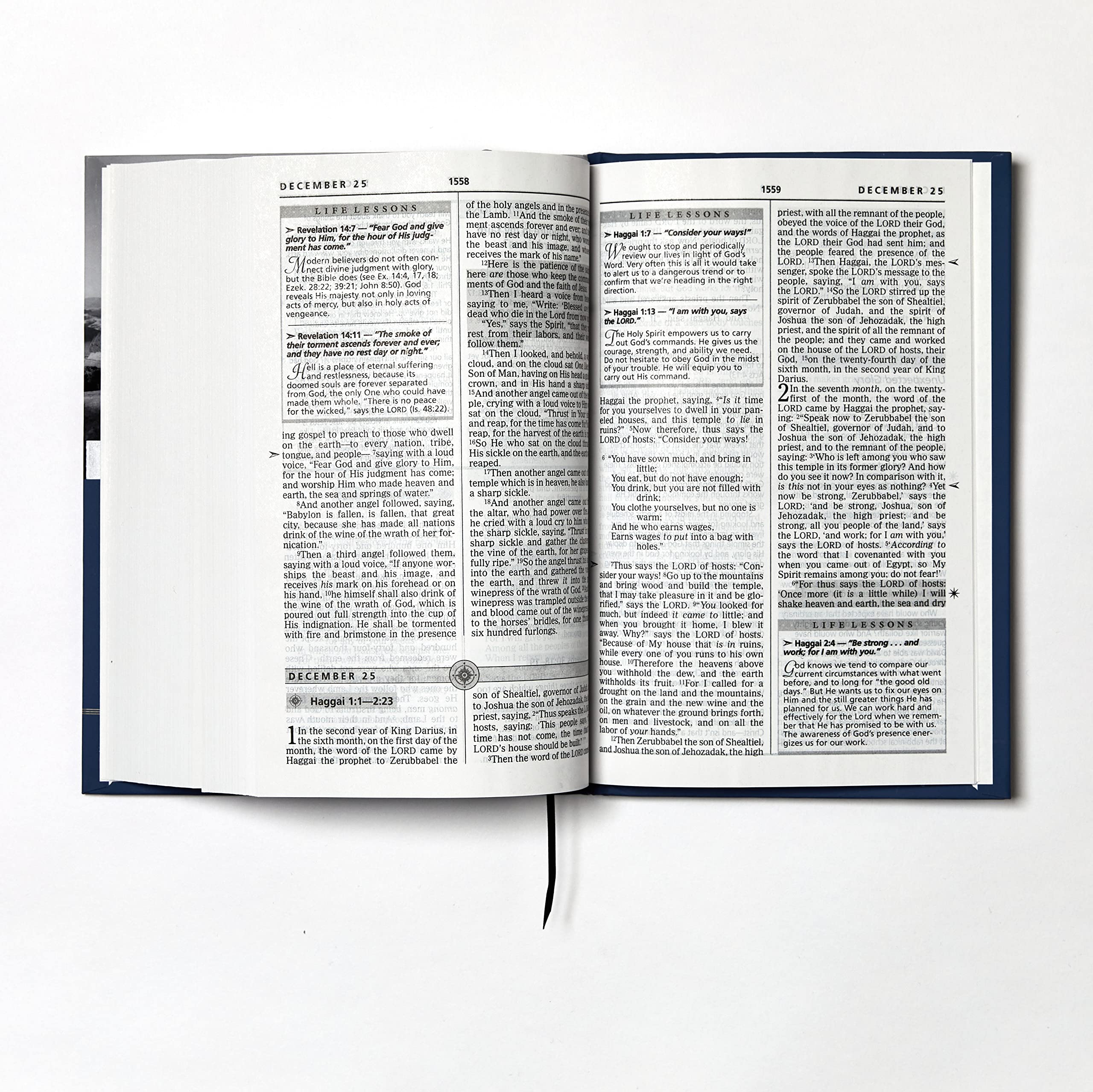 NKJV Charles F. Stanley Life Principles Daily Bible - Paperback Holy Bible, New King James Version - Perfect for Daily Devotions & Bible Study