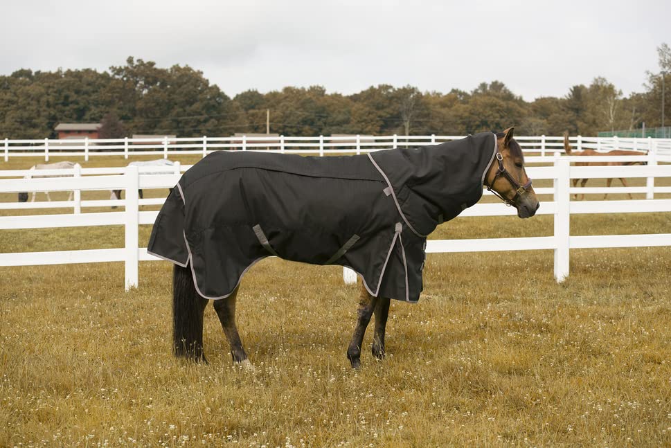 TuffRider All Seasons Horse Blanket 69