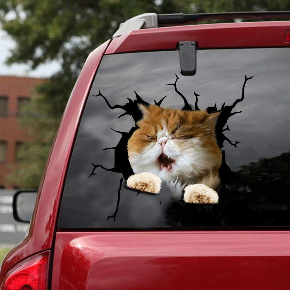 Persian Cat Car Decals Pack of 2 - 8