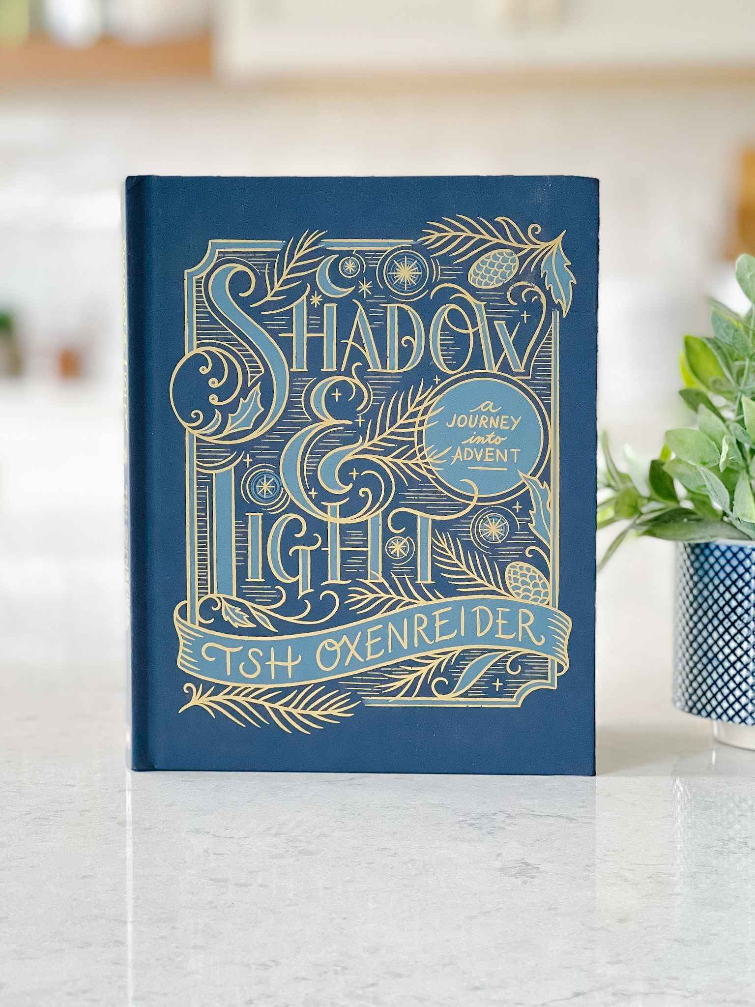 Shadow & Light: A Journey Into Advent - Christian Devotional Book for Christmas Season | Perfect for Personal Reflection, Small Groups & Holiday Gifting