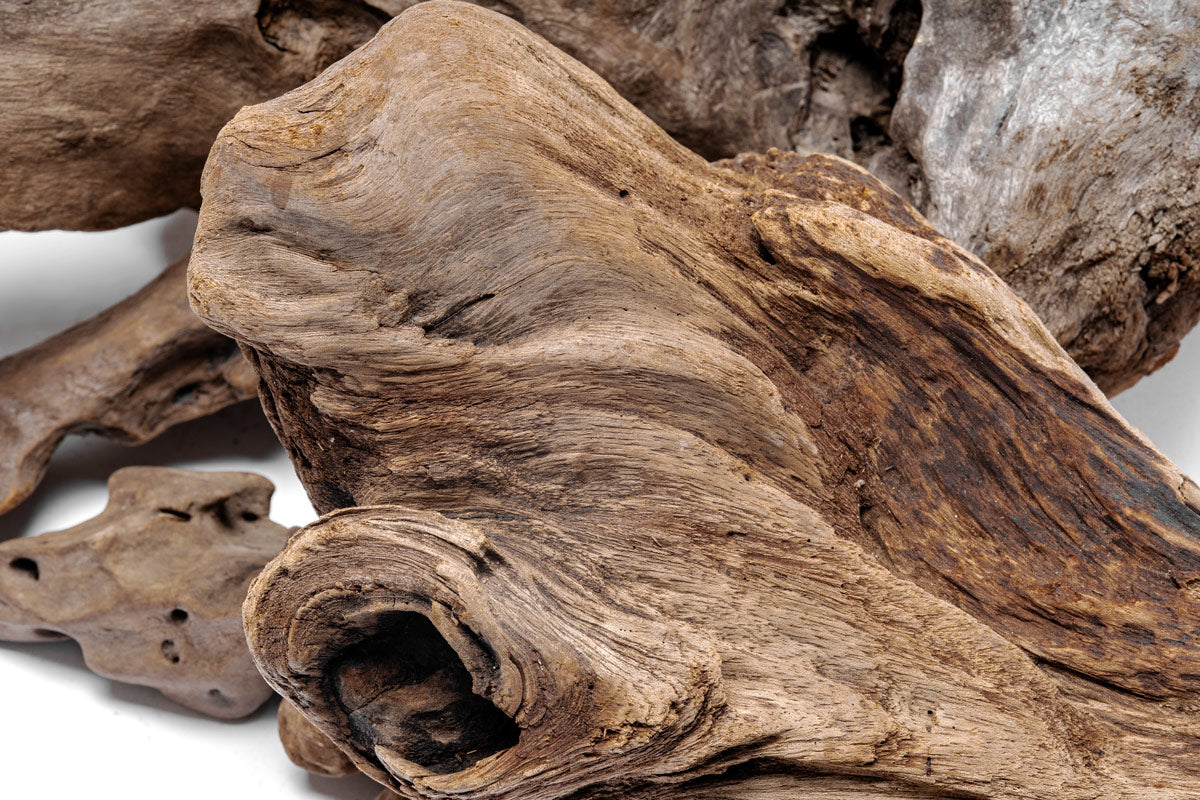 Natural Driftwood Decor for Home & Aquarium - Unique Wooden Accent Pieces for DIY, Crafts, and Terrarium Scenery