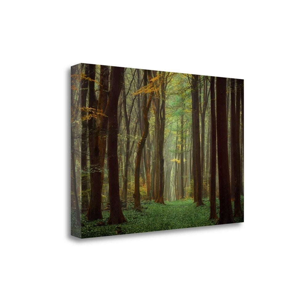 Arriving Nowhere by Lars Van De Goor - Premium Fine Art Giclee Print on Gallery Wrapped Canvas - Ready to Hang Wall Decor for Living Room, Bedroom & Office