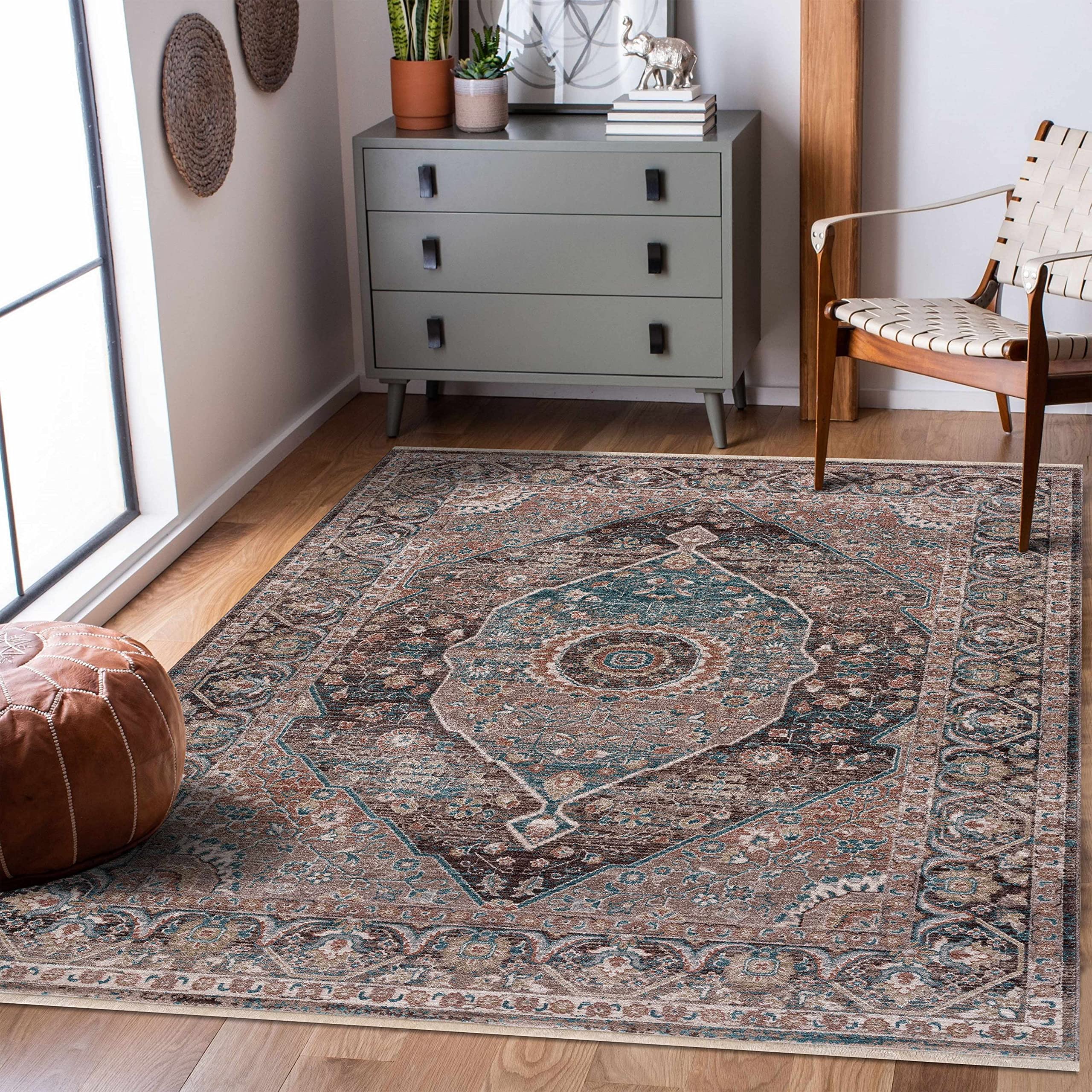 Hauteloom Toritori Soft Plush Area Rug for Living Room & Bedroom - 5'3