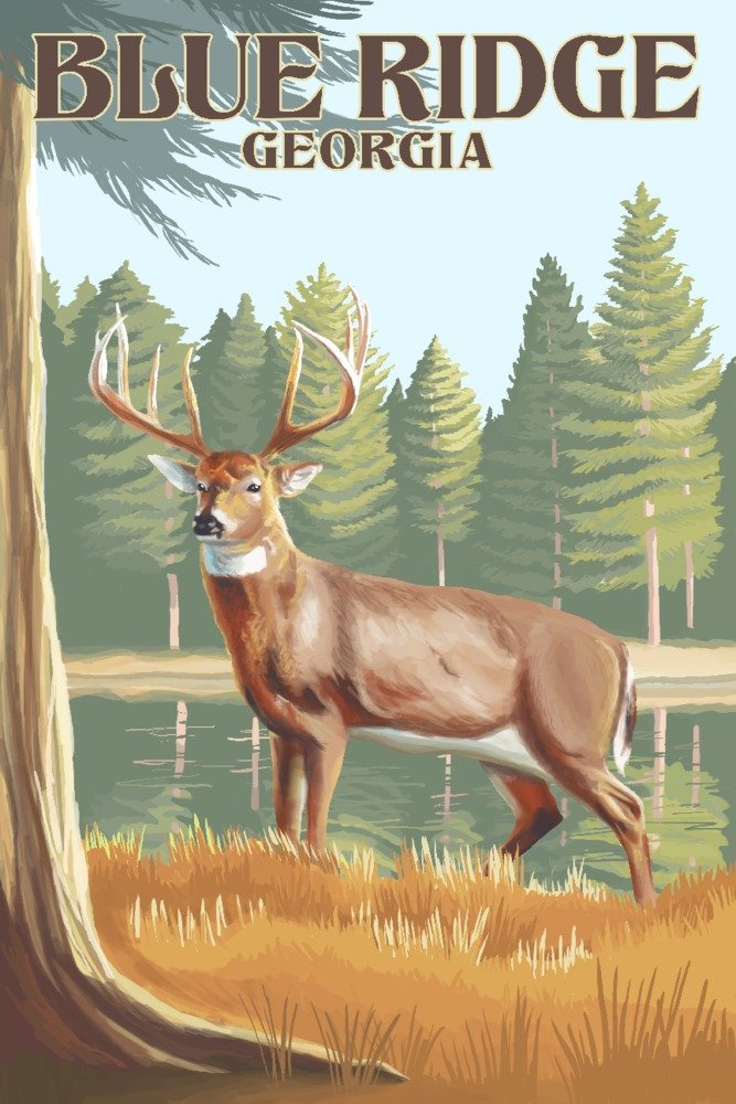 Blue Ridge Georgia White-Tailed Deer 80673 - Signed 24x36 Art Print, Wildlife Wall Decor Poster for Home, Office & Cabin