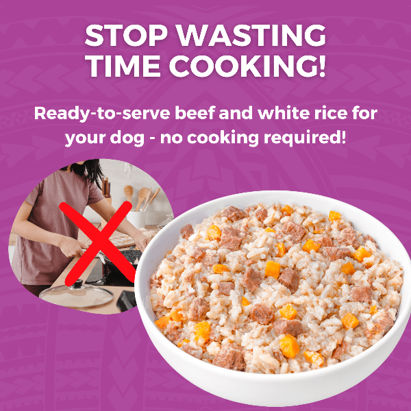 KOHA Limited Ingredient Dog Food - Grain Free Beef & White Rice Recipe for Sensitive Stomachs - Perfect for Dogs with Allergies or Digestive Issues - Dry Kibble for Adult & Senior Dogs - Great for Meal Toppers or Mixers