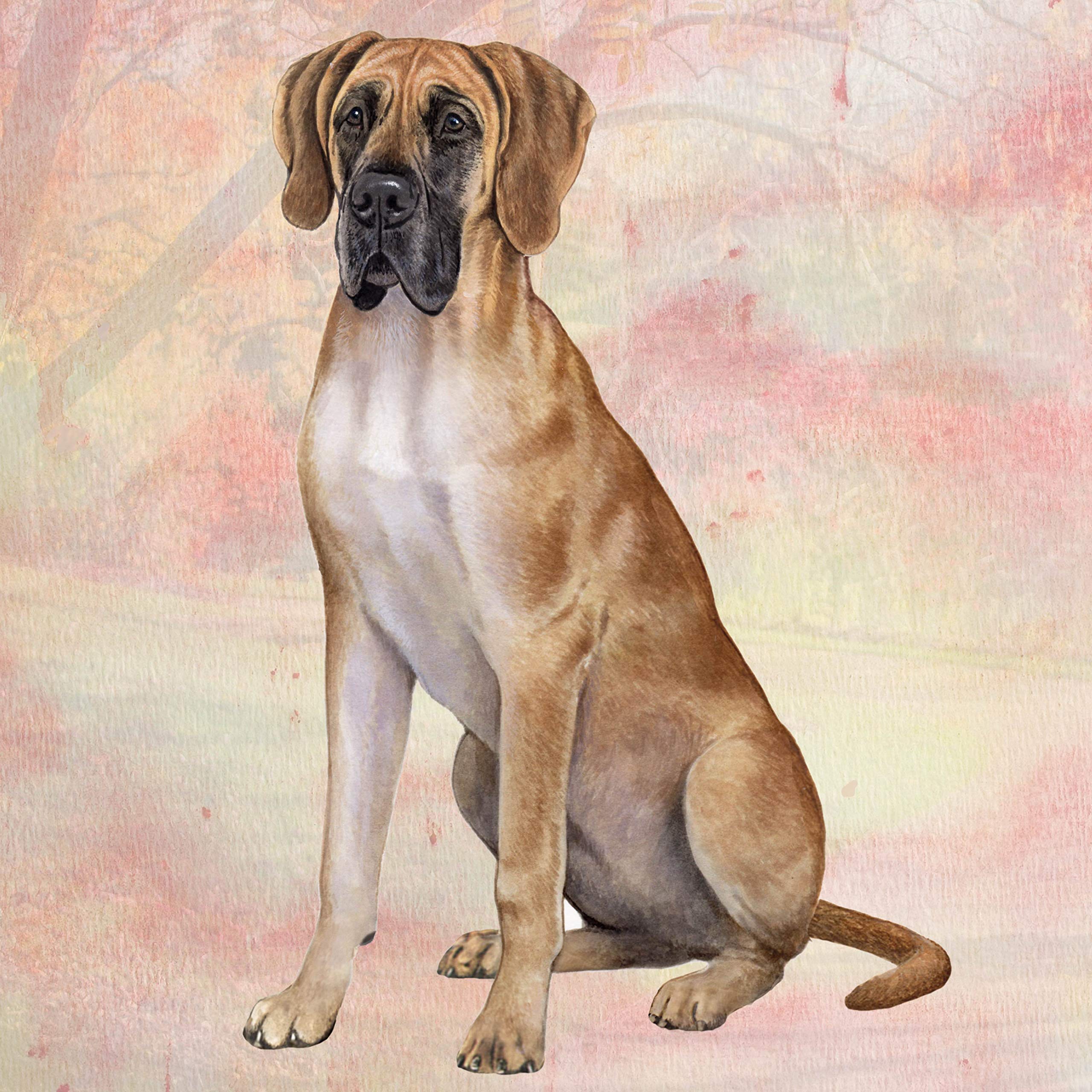 Premium Absorbent Stone Coaster Set for Great Dane Lovers - Natural Cork Back Protects Furniture from Scratches & Water Rings - Perfect for Coffee Tables, Desks, and Home Decor Gifts