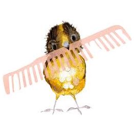 The Bowerbird by Julia Donaldson | Children's Picture Book | Perfect for Bedtime Stories & Early Reading