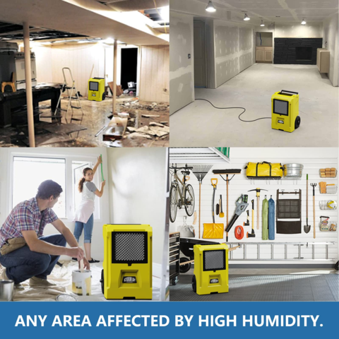 AlorAir Storm DP Smart WiFi Commercial Crawl Space Dehumidifier 50 Pints with Condensate Pump - Basement & Home Moisture Control - Perfect for Damp Areas, Water Damage Prevention & Mold Protection