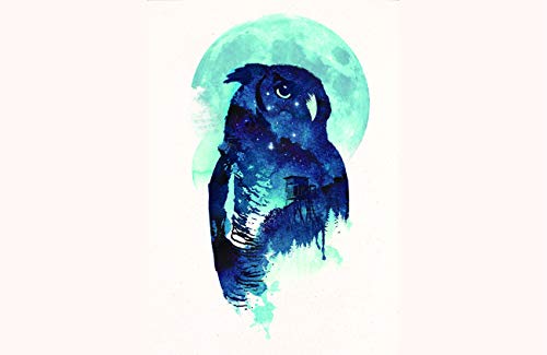 Midnight Owl