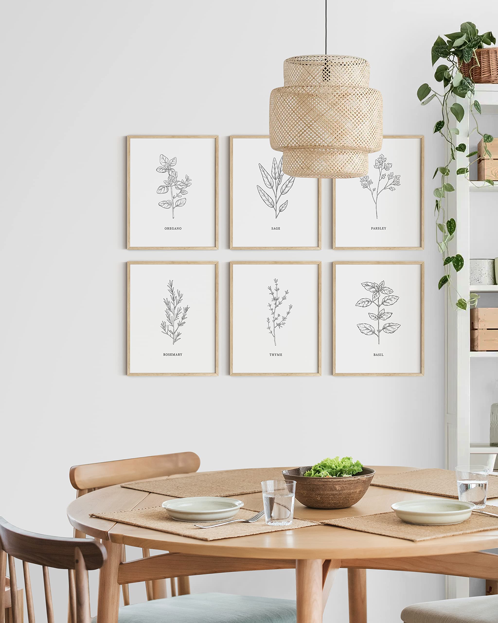 HAUS AND HUES Kitchen Herb Art Prints Set of 6 (8x10 Inches UNFRAMED) - Botanical Line Art Wall Decor for Kitchen, Dining Room & Living Room | Perfect for Home Decor, Housewarming Gifts & Farmhouse Style Interiors