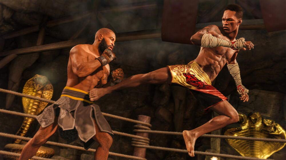 UFC 4 for PS4 - Official EA Sports MMA Fighting Game | Realistic Combat Simulation | Perfect for Gaming Tournaments & Home Entertainment