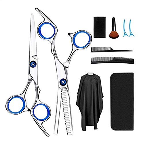 Professional 10-Piece Barber Scissor Set - Flat, Teeth & Thinning Shears for Salon, Home & Kids Haircutting - Silver | Perfect for Stylists, DIY Haircuts & Children's Grooming