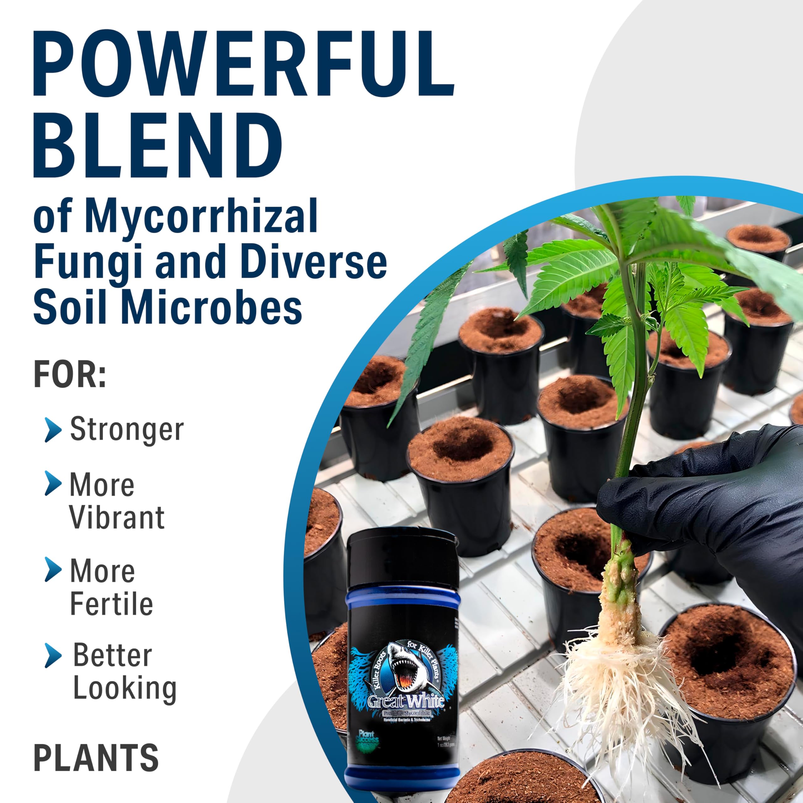 Premium Mycorrhizal Fungi 4 oz - Organic Root Stimulator & Plant Growth Booster with Beneficial Bacteria | 3-in-1 Concentrated Formula for Healthier Plants | Ideal for Indoor Houseplants, Vegetable Gardens & Hydroponics by Plant Success (32 oz)