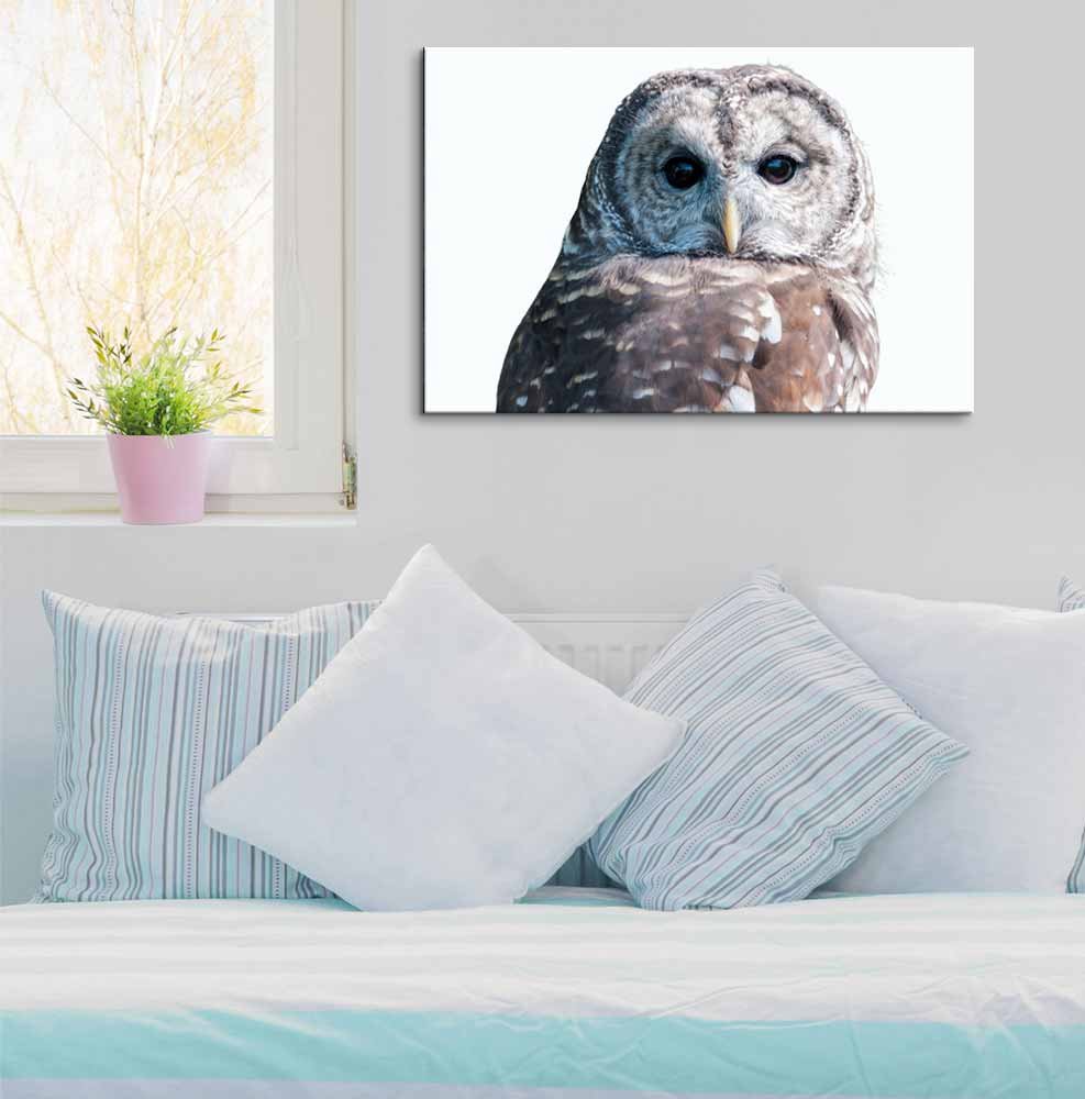 Premium Owl Canvas Wall Art - 32