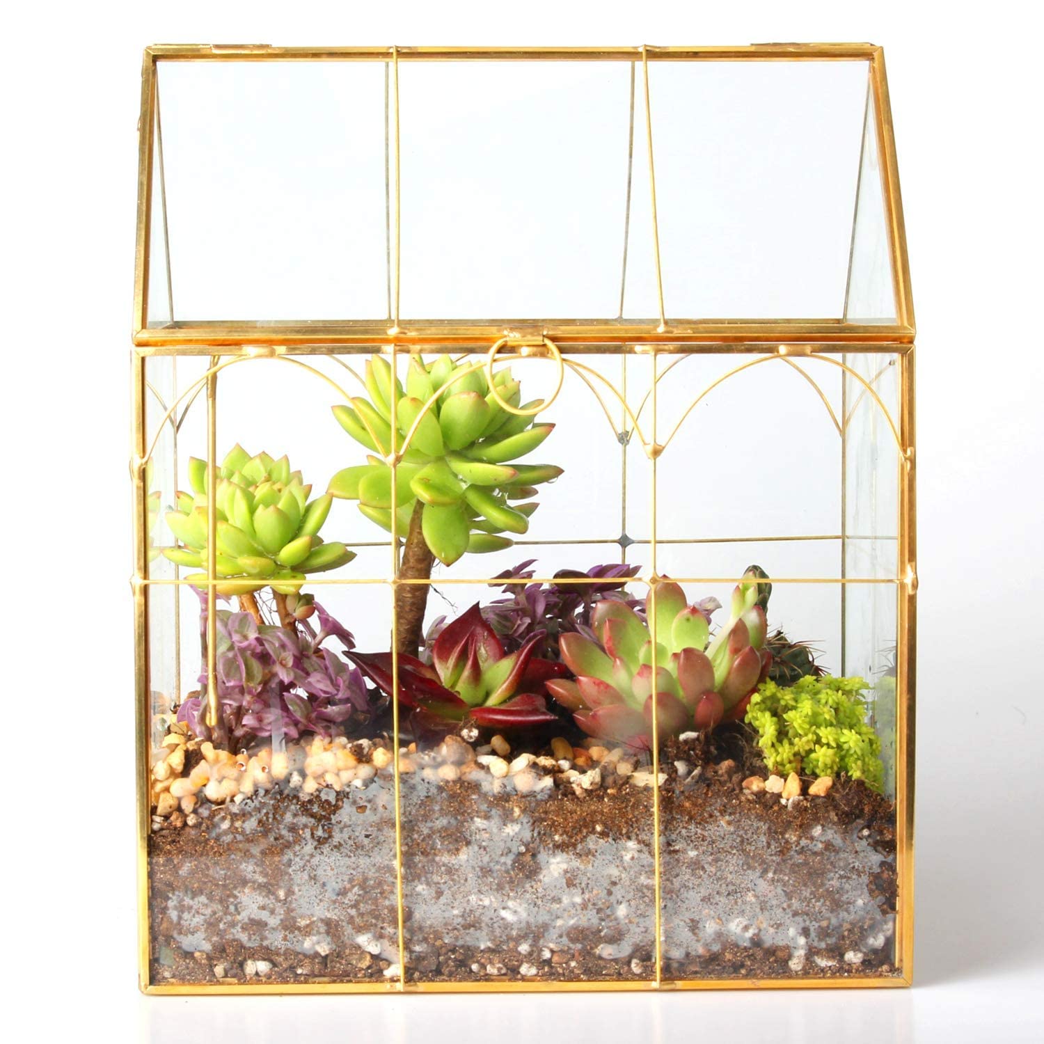 Glass Geometric Plant Terrarium for Succulents & Air Plants - Home, Office & Garden Decor (Gold House) | Perfect for Indoor Greenery, Wedding Centerpieces & Modern Interior Design
