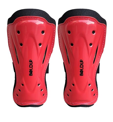 LEMONBIGSHINGUARD