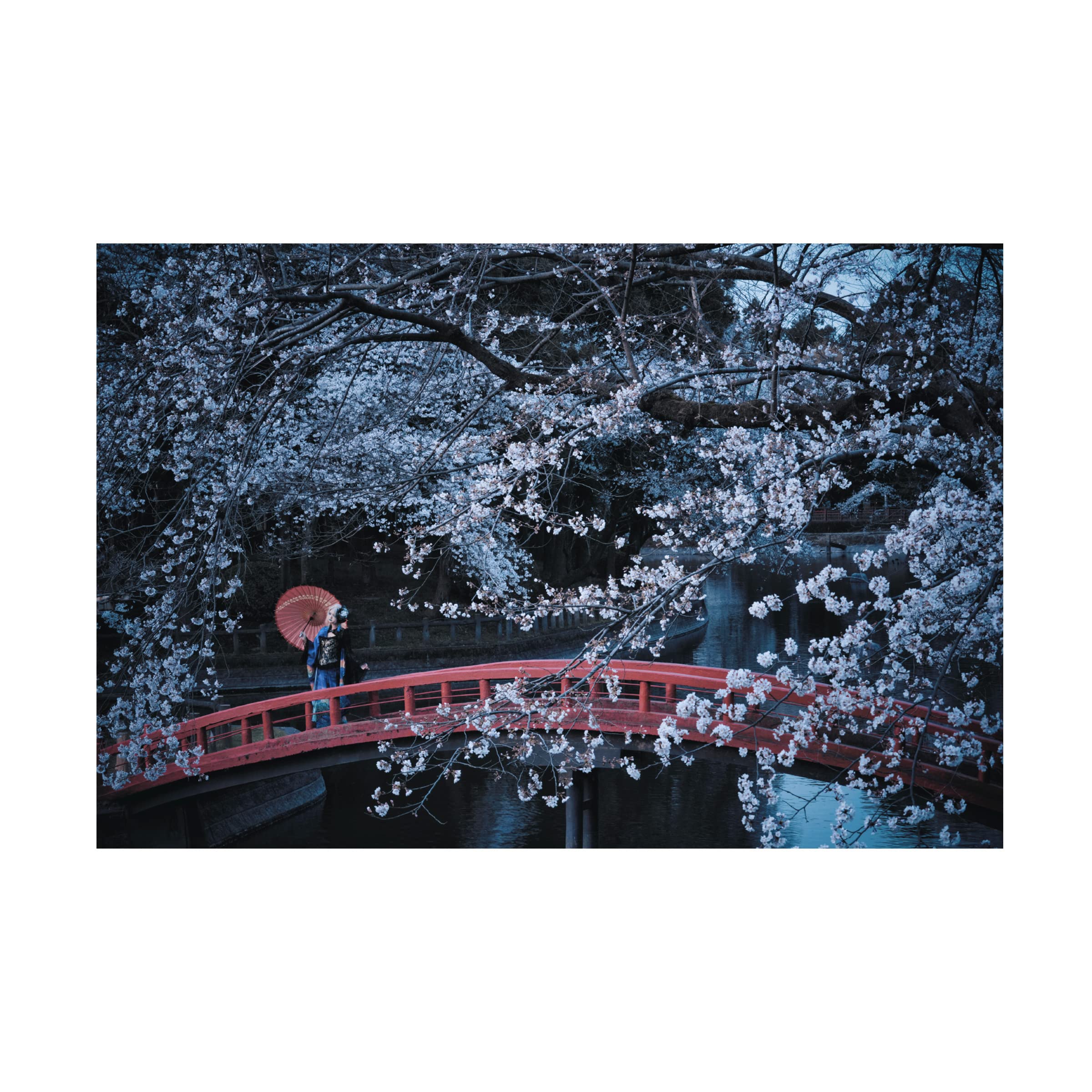 Trademark Fine Art 'Cherry Blossom Bridge' Canvas Wall Art Print by Koiki - Japanese Landscape Painting for Home & Office Decor