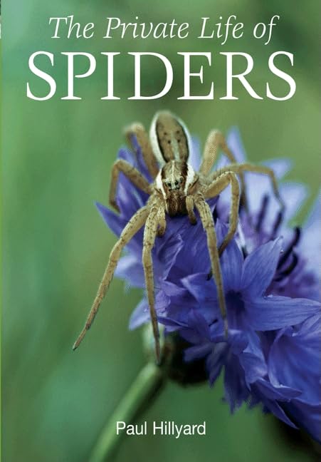The Private Life of Spiders - Fascinating Spider Facts & Behavior Guide | Perfect for Nature Lovers, Science Classrooms & Wildlife Documentaries