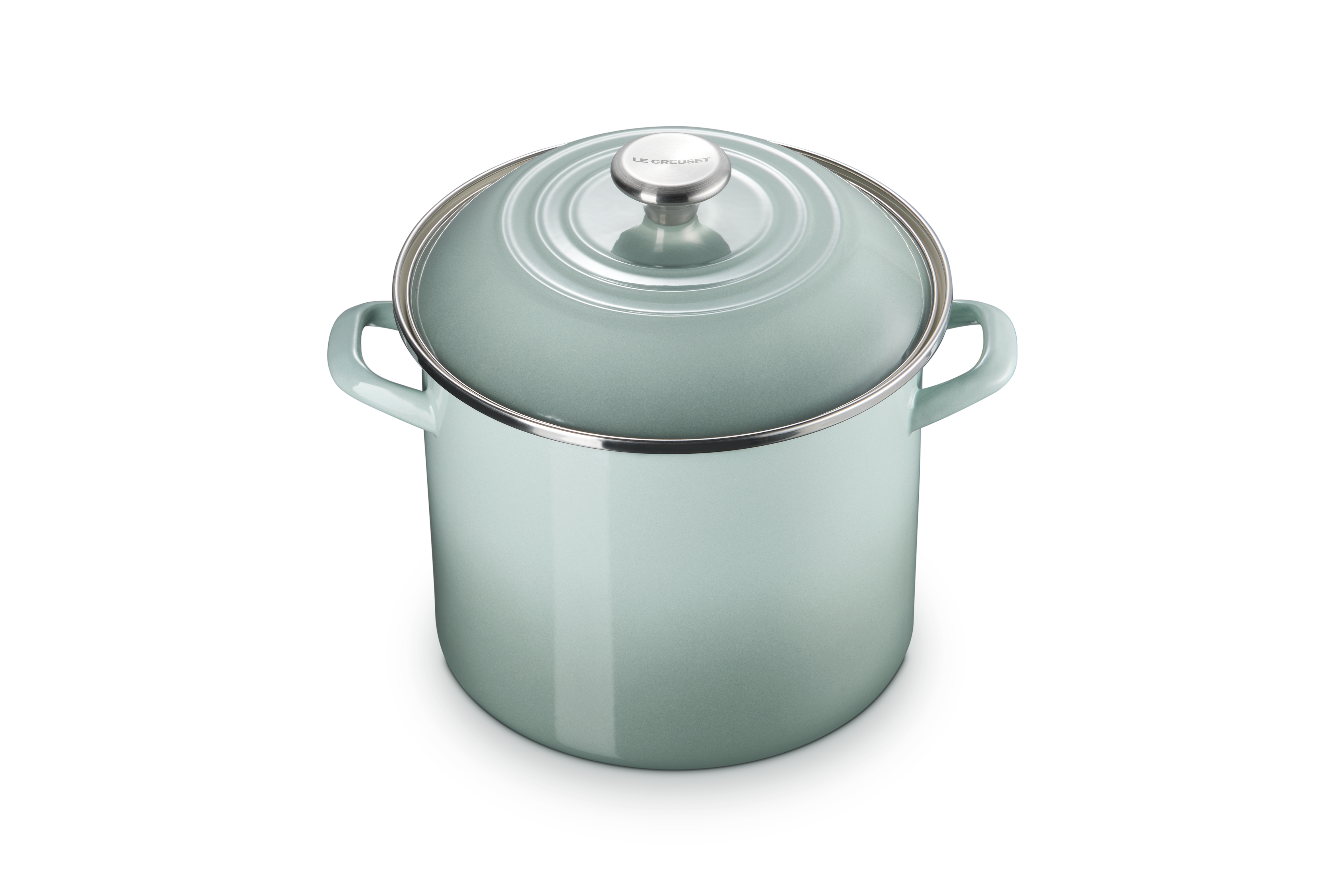6 Qt. Stainless Steel Stockpot with Lid - Sea Salt Color - Perfect for Soups, Stews, and Pasta Cooking - Ideal for Home Chefs and Large Family Meals