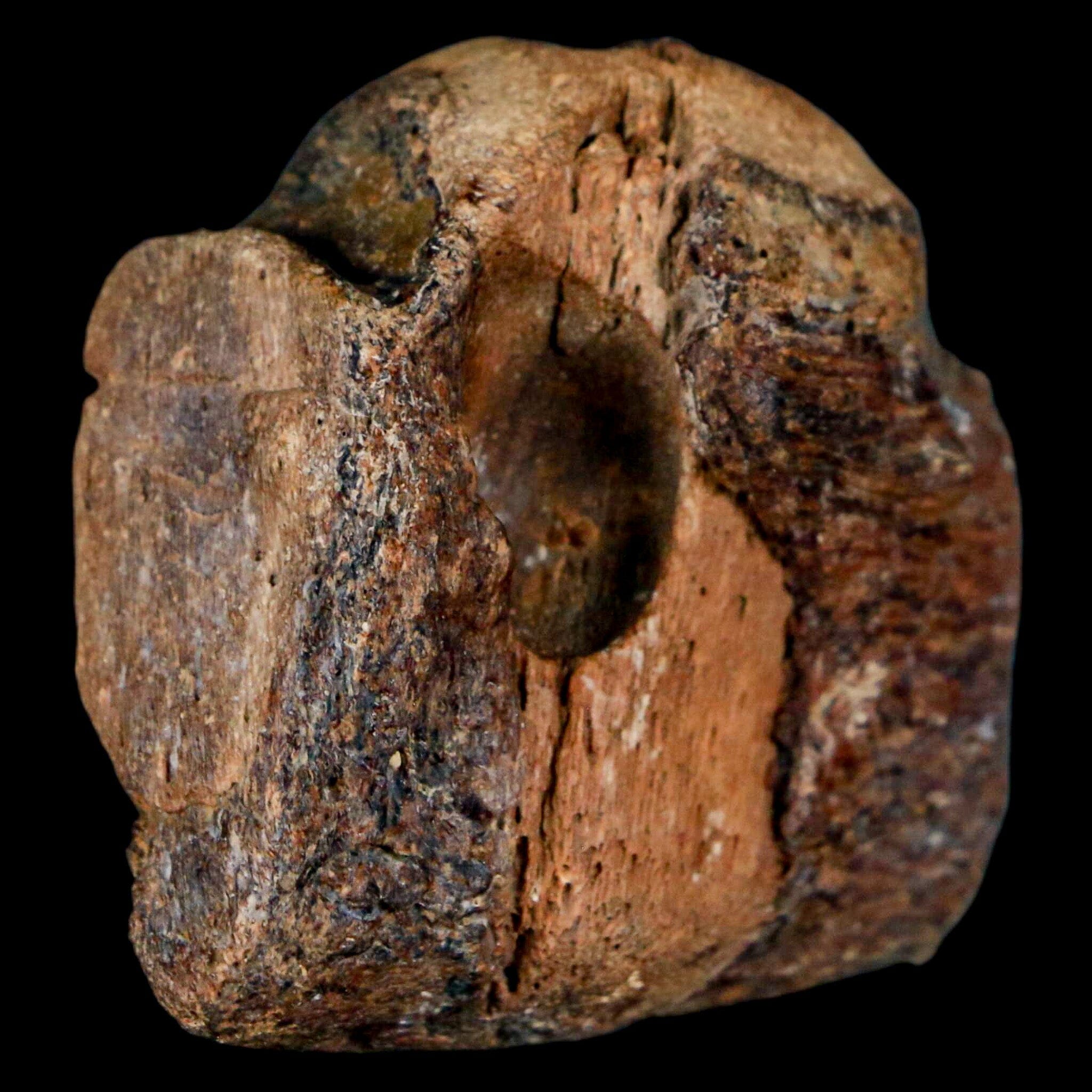 1.5