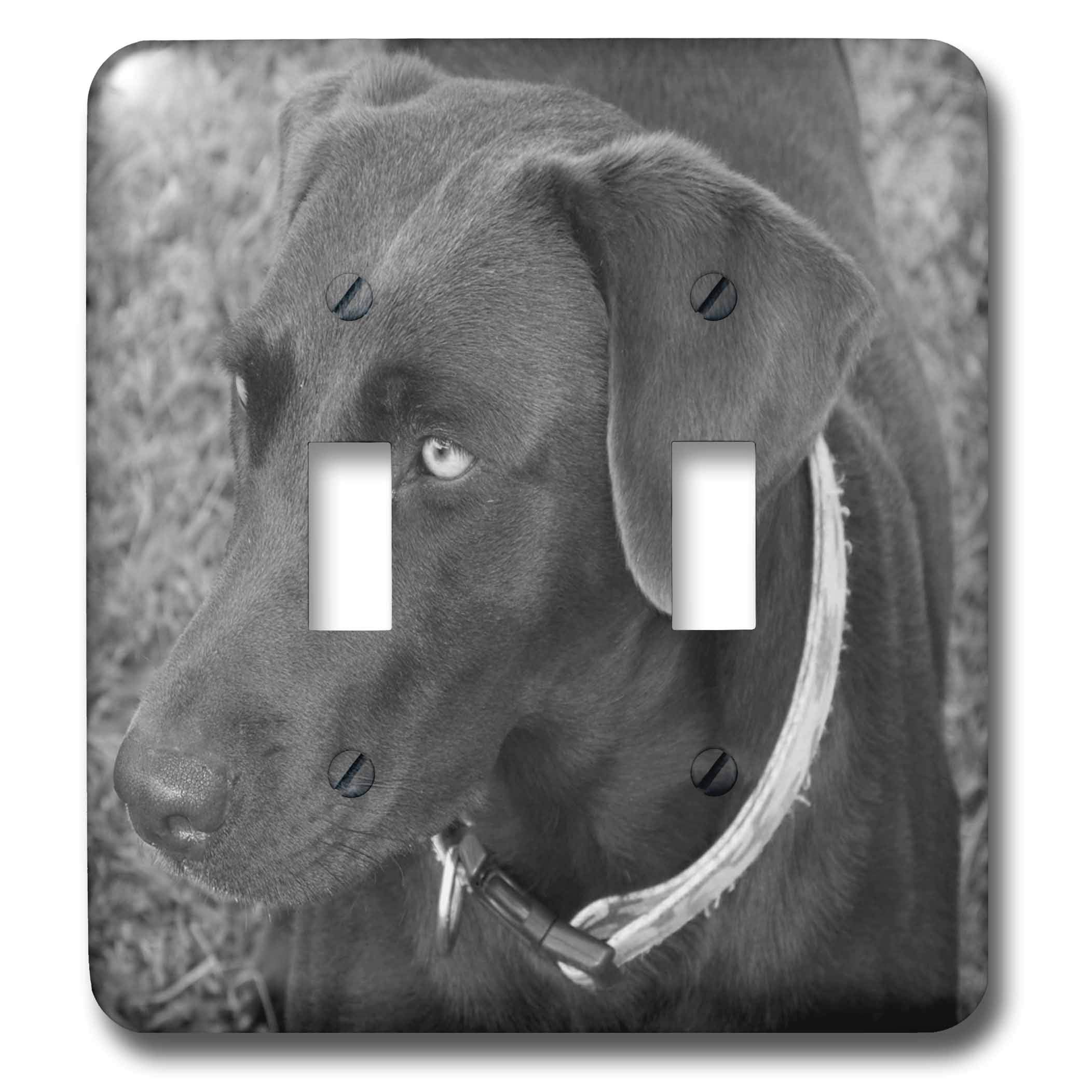 3D Rose Chocolate Lab Black and White Double Toggle Switch - Decorative Wall Plate Cover for Home, Office, or Workshop Electrical Outlets - Perfect for Pet Lovers and Modern Interior Design