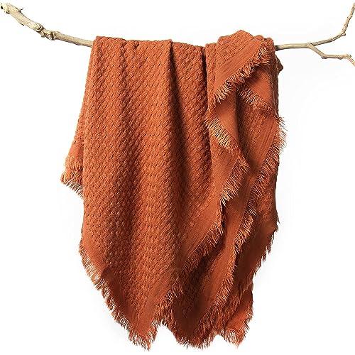 A-02-burnt Orange