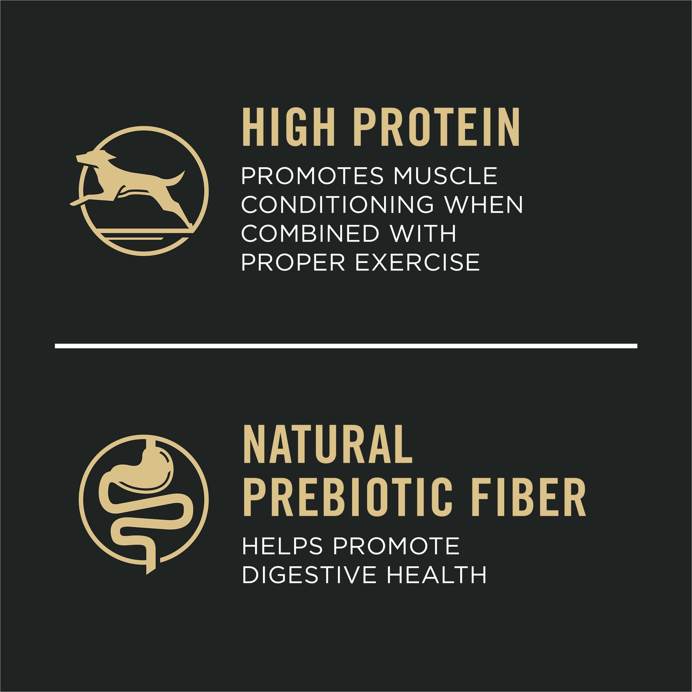 Purina Pro Plan Large Breed Dry High Protein Dog Food With Probiotics for Digestive Health - Beef & Rice Formula, 47 lb Bag - Ideal for Active Adult Dogs & Joint Support