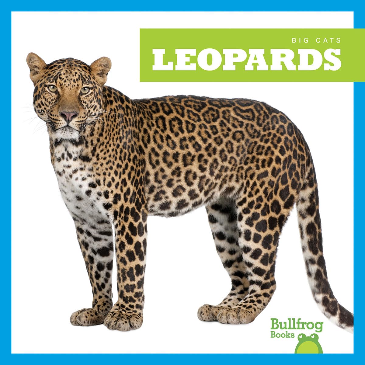 Leopards - Big Cats Book for Kids | Bullfrog Books | Educational Wildlife Reading for Children | Perfect for Classroom & Home Learning