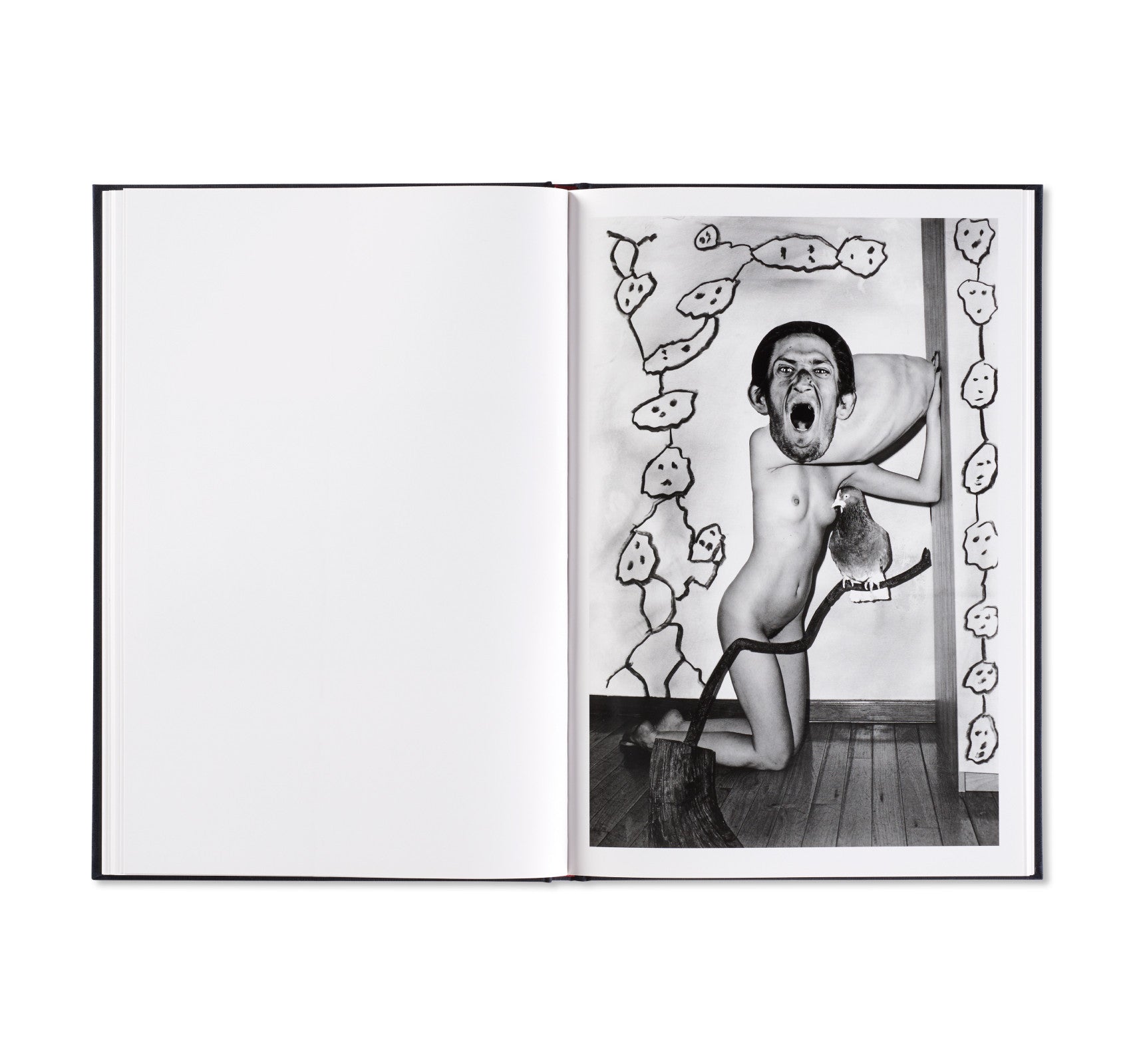 NO JOKE by Asger Carlsen & Roger Ballen - Surreal Photography Art Book for Collectors and Contemporary Art Lovers - Perfect for Home Decor, Gallery Displays, and Creative Inspiration