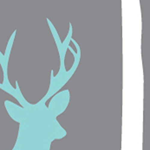 White & Teal
