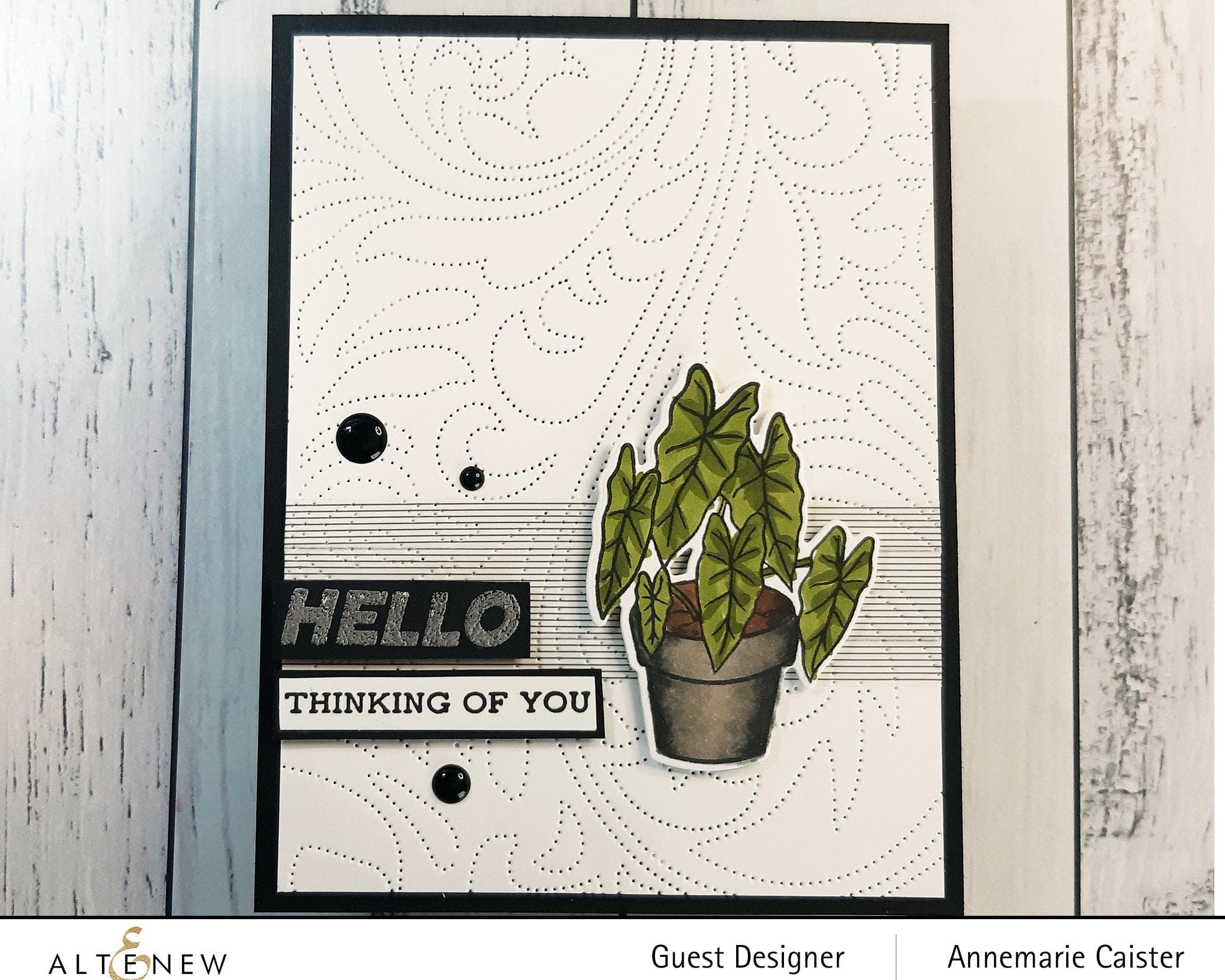 Stunning Alocasia Plant for Home & Office Decor - Perfect for Indoor Greenery and Tropical Plant Lovers