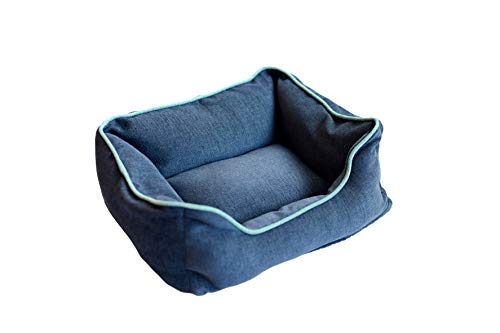 Blue w/Green Trim