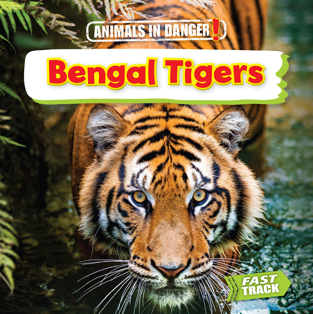 Endangered Bengal Tigers - Facts, Conservation & How to Help | Wildlife Protection & Animal Rescue