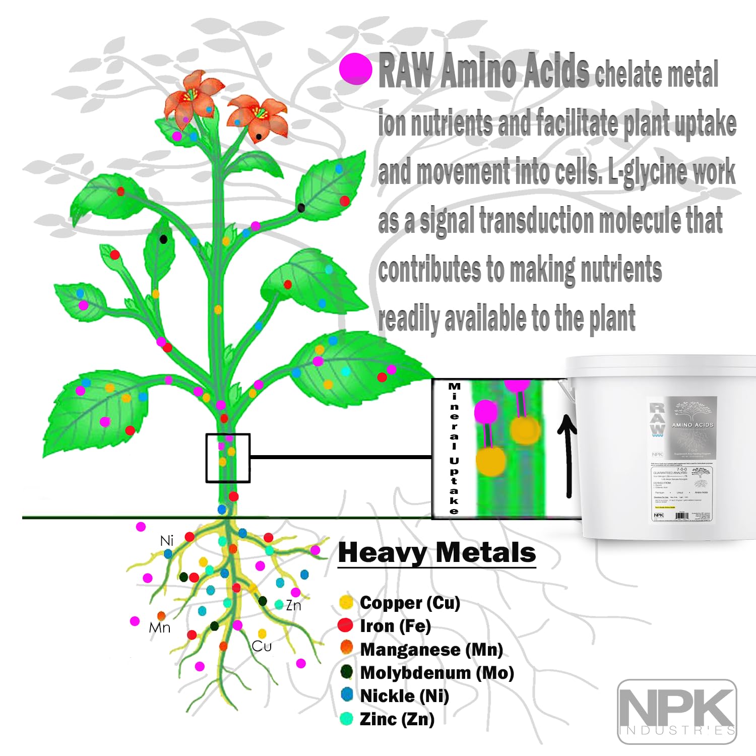 Premium RAW Amino Acids – Organic Plant Nutrient Supplement for Hydroponics, Soil & Foliar Feeding – Boost Growth & Yield