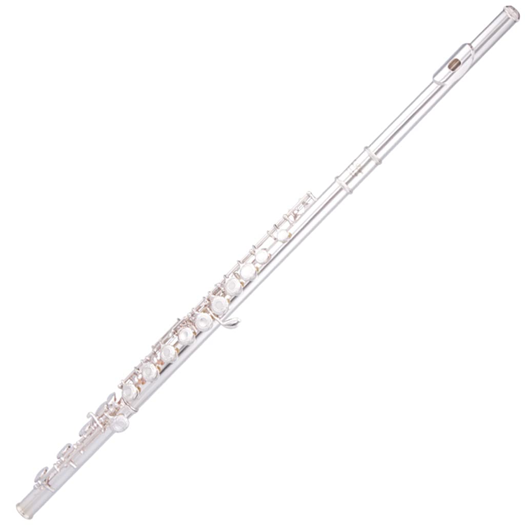 Professional 958 Sterling Silver Soprano Recorder Flute - 17-Hole B-Tail French Button Design with Excellent Pitch for Students & Musicians | Perfect for Classroom, Orchestra & Solo Performances (Color: A)