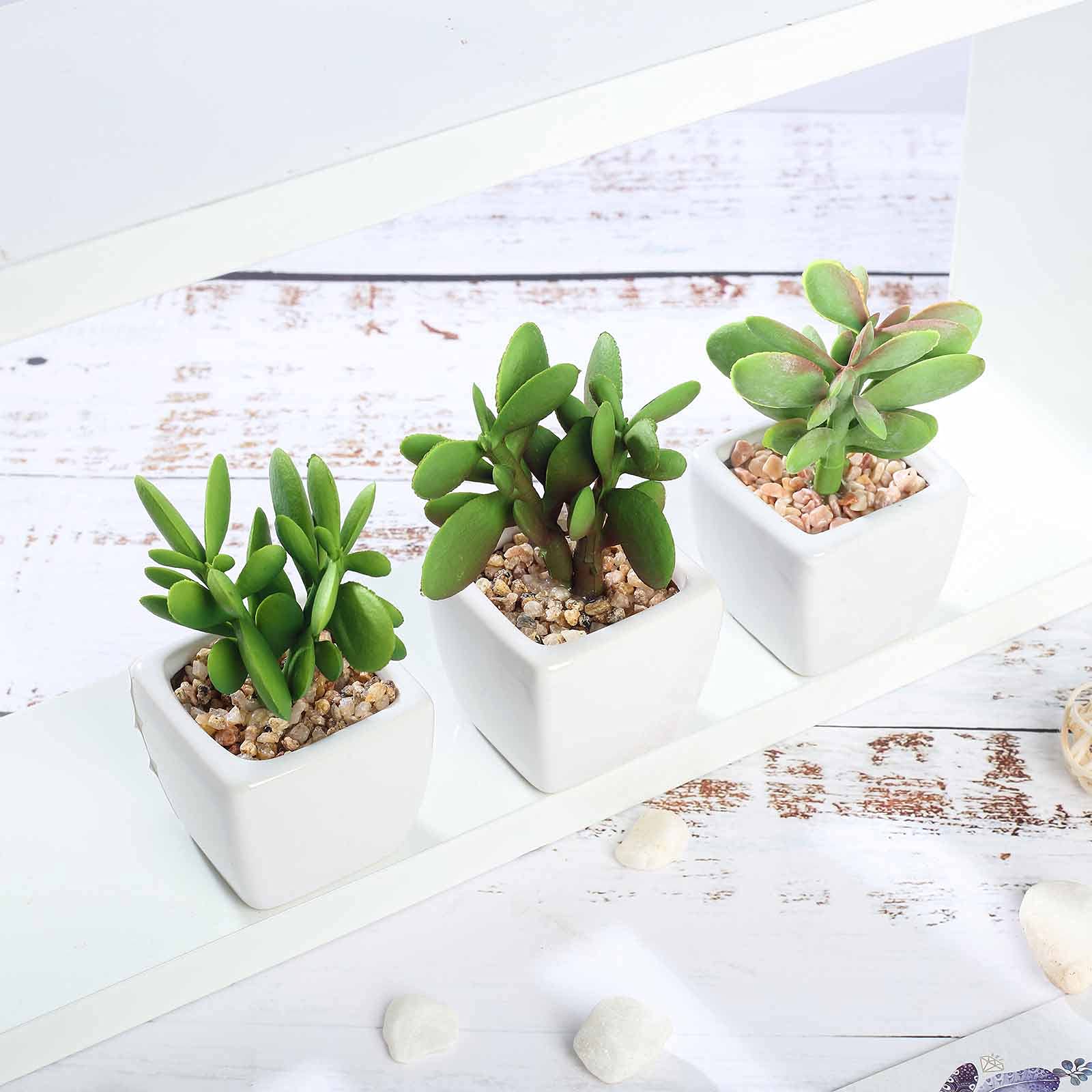 Artificial Succulent Plants Set of 3 - Mini Fake Jade Succulents in Ceramic Pots for Home Office Desk Decor, Wedding Centerpieces & Shelf Displays
