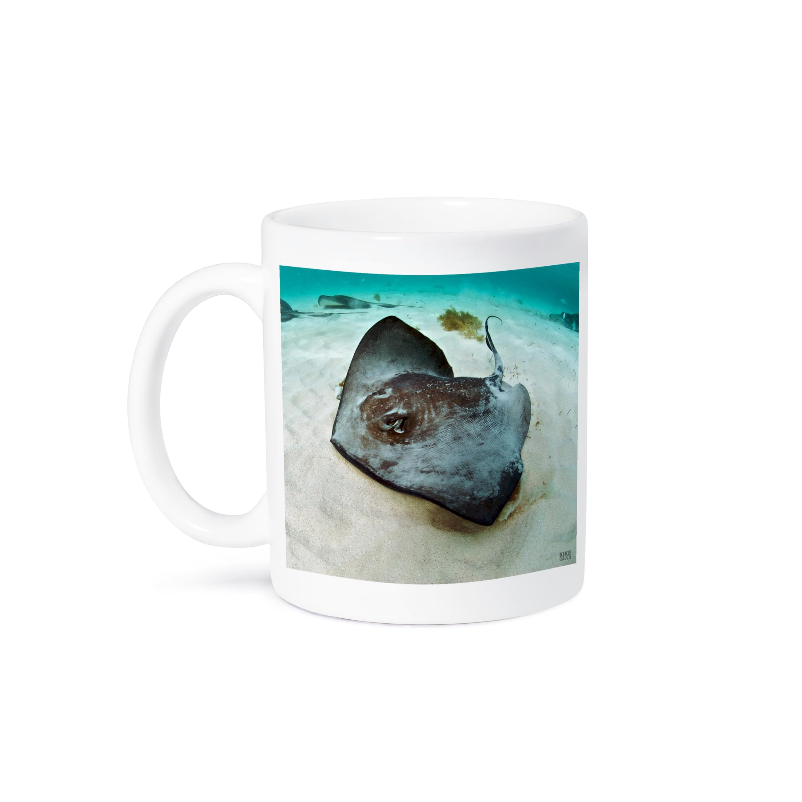3dRose 15 oz Multicolor Ceramic Mug with Southern Stingray Design - Dasyatis Americana in Blue Caribbean Waters at Gibbs Cay - Perfect for Coffee, Tea & Office Use