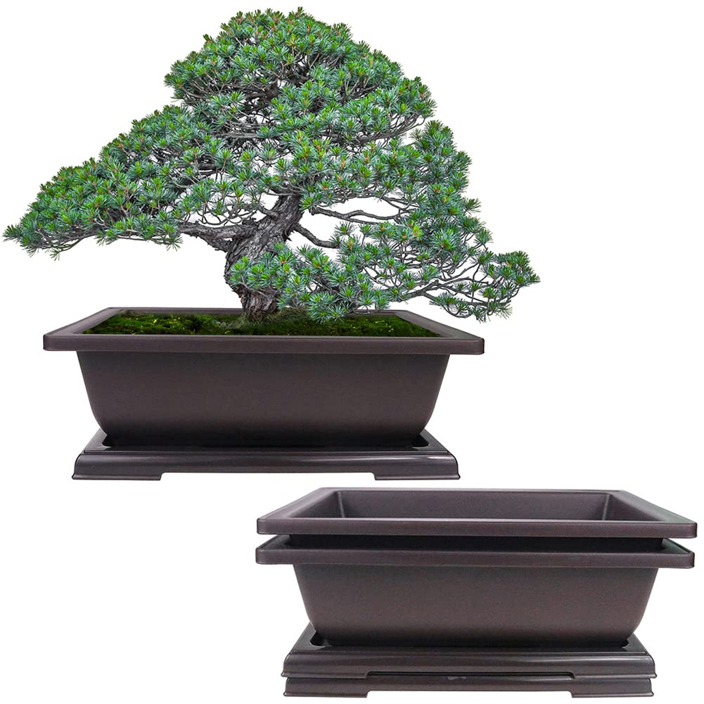 MUZHI 3-Piece Large Rectangular Bonsai Pots with Drainage Holes and Matching Trays - 10 Inch Ceramic Planters for Indoor/Outdoor Plants - Perfect for Home Decor, Office Desk, and Garden Landscaping