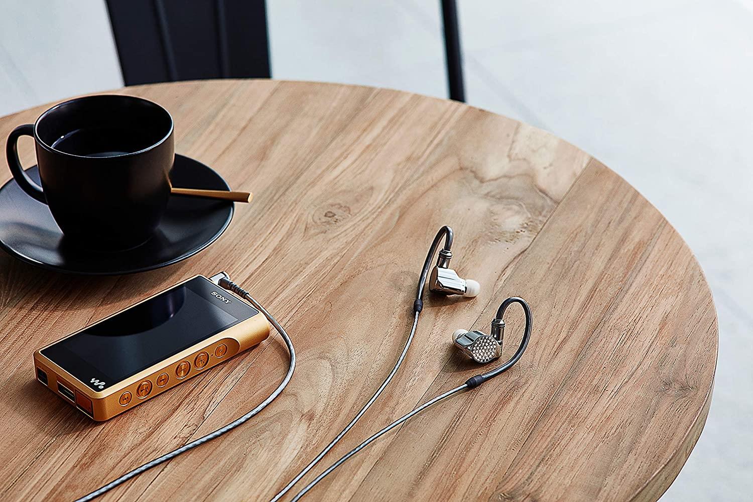 Sony IER-Z1R Signature Series Premium Hi-Res In-Ear Headphones - High-Fidelity Audio for Audiophiles, Musicians & Travel